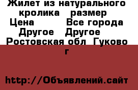 Жилет из натурального кролика,44размер › Цена ­ 500 - Все города Другое » Другое   . Ростовская обл.,Гуково г.